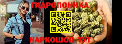 прущие грибы Краснознаменск