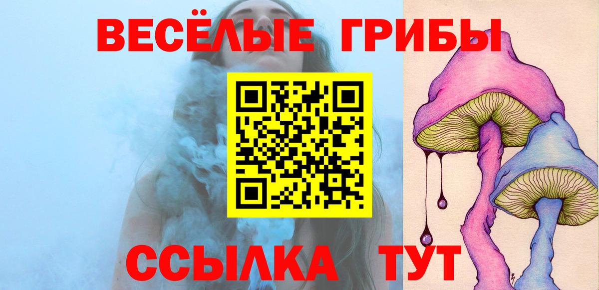 Псилоцибиновые грибы Magic Shrooms  Галлюциногенные грибы MAGIC MUSHROOMS  Донской  Вход с VPN 